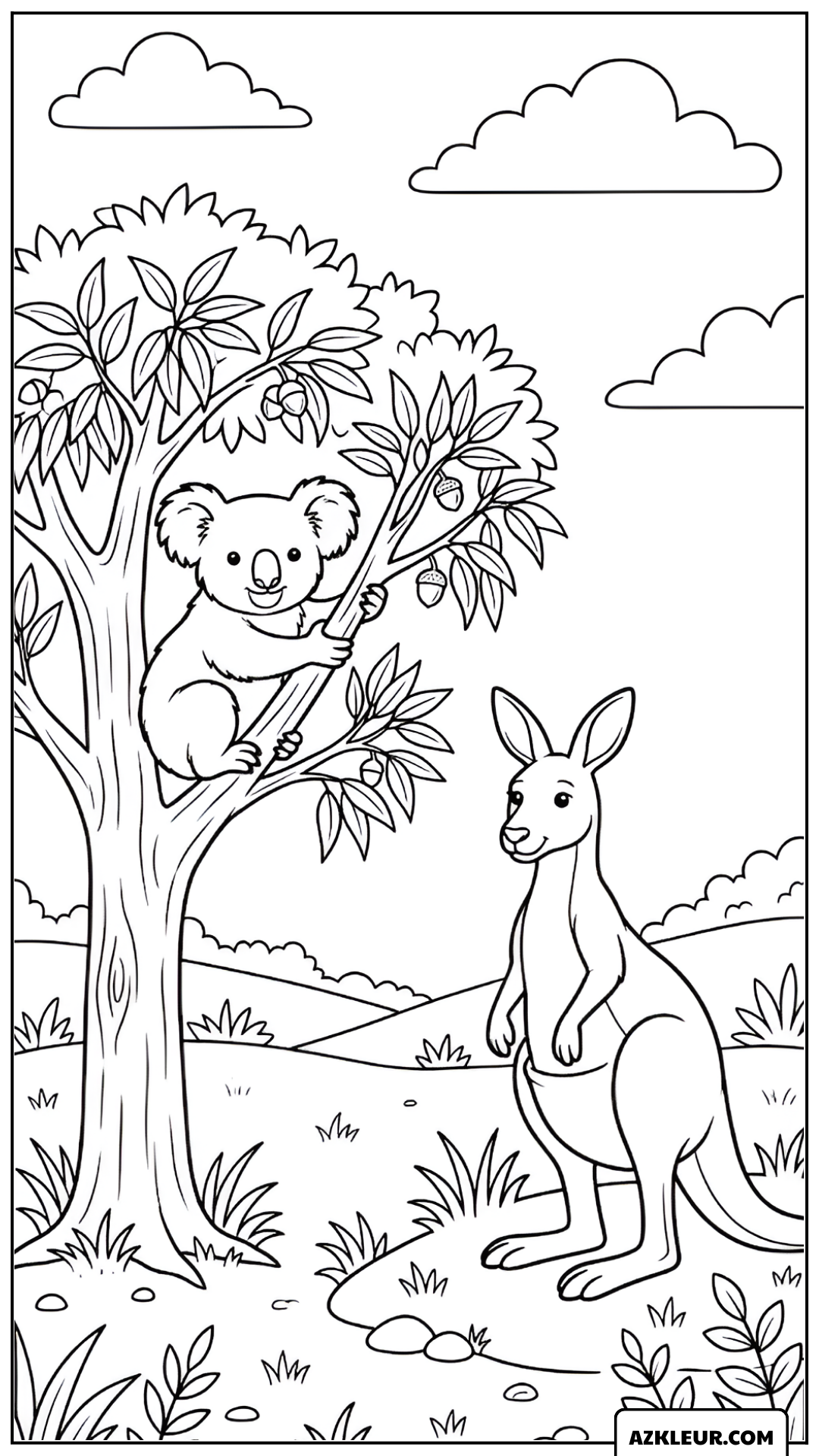 Koala en Kangoeroe Kleurplaat